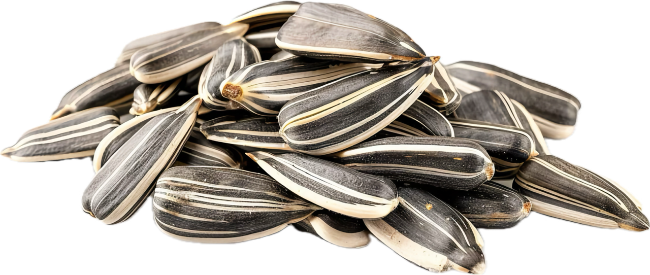 Sunflower-seed