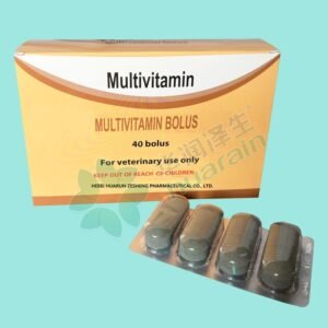 Multivitamin bolus-Motley