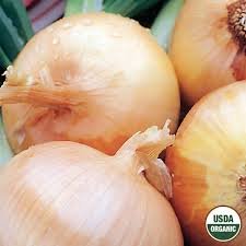 Onion Texas Grano 10g-Hero