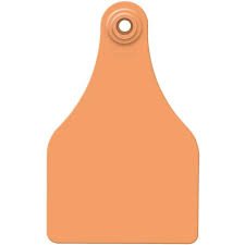 Orange Ear Tag - Paw Vet