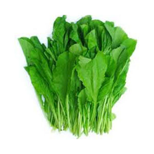Primeseedco- Mustard Mpilu 10g