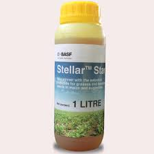 Stellar Star 1Ltr