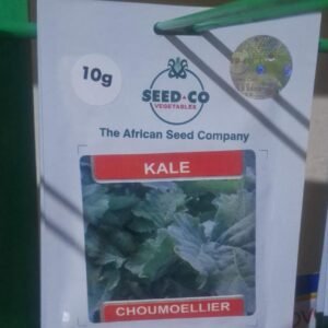 Rape Kale 10g Seedco