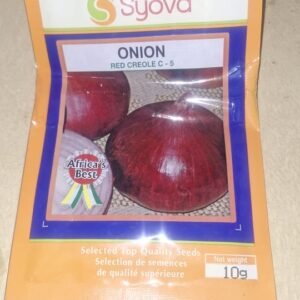 Onion 25g Red Creole Syova