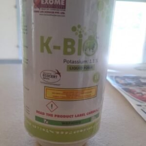 K-BIO 1L Exome