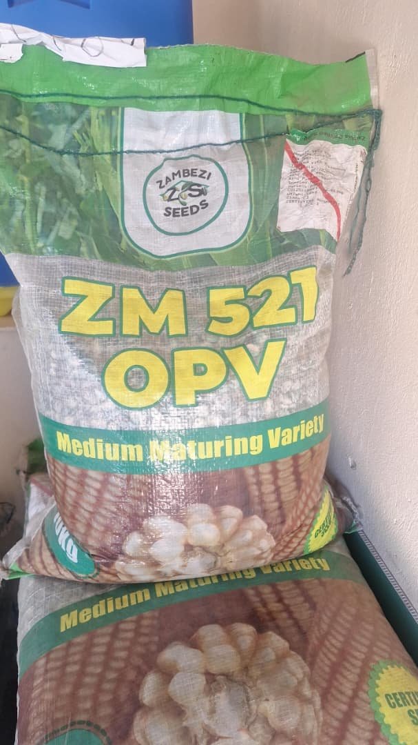 ZM 521-5Kg Zambezi Seed