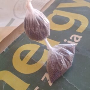 Rape small packs plastic