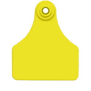 Yellow Ear Tags - Paw Vet