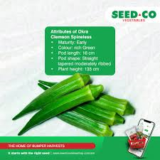 Primeseedco-Okra Clemson Spineless-10g
