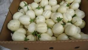 Egg Plant 10g NGONWE Syova