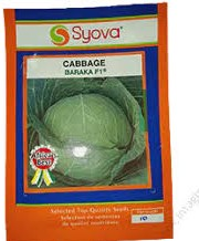 Cabbage 10g Syova