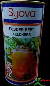 Carrot 10g Syova